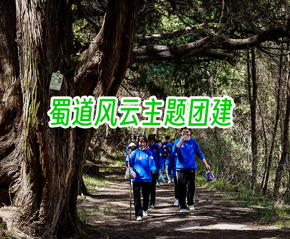 【蜀道風云】情境團建：探秘蜀道風云，感知人文歷史